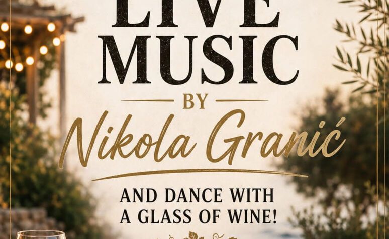 Muzika i vino - Nikola Granić