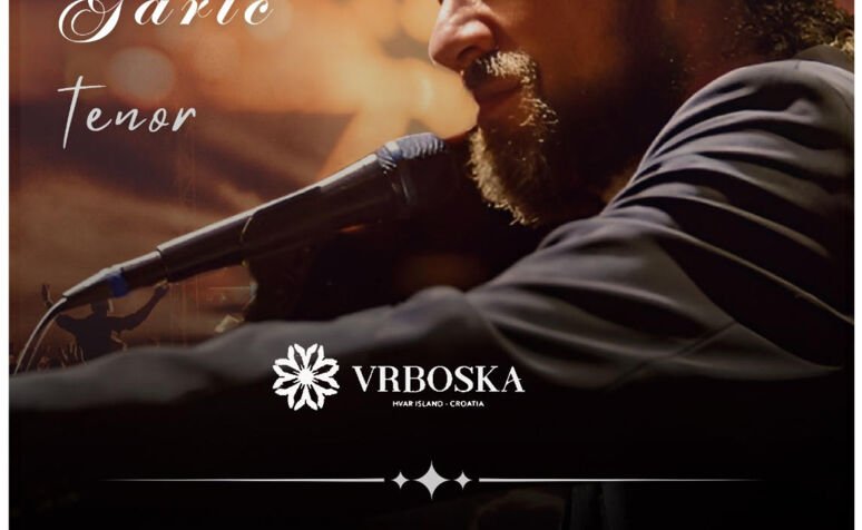 VEČER POD ZVIJEZDAMA –         Vladimir Garić i gosti 